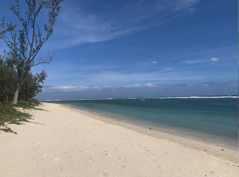 Lire la suite à propos de l’article La Réunion : apprendre à vivre avec le requin
